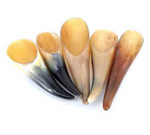 Contenitore portatile per raschiare il corno di bufalo naturale - Product Image 1