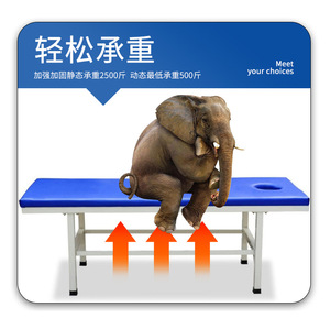 Table de massage avec structure en acier, rembourrage en éponge, design minimaliste durable pour la physiothérapie et les traitements d'acupuncture - Product Image 2