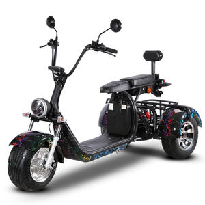 Tricycle Électrique <span class=keywords><strong>à</strong></span> Pneus Larges 2026 – Vélo Électrique <span class=keywords><strong>à</strong></span> 3 Roues avec Siège Large – Tricycle Pliant pour le Transport de Marchandises - Product Image 3