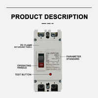 EWJ-PV100A 125A 160A 250A 400A 630A 800A 1000A 1250A 2P 3P 4P DC 500V 750V 1000V disjoncteur à boîtier moulé DC 1000v MCCB