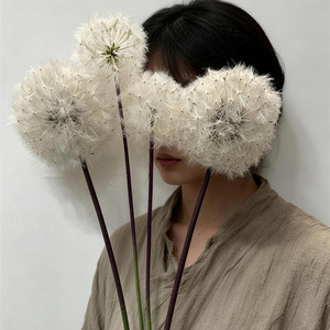 Flores Artificiales de Diente de León Yasunobu, Rama Individual de Plástico para Decoración del Hogar, Accesorios para Bodas - Product Image 2
