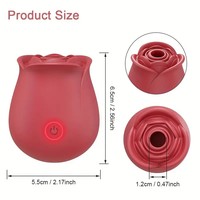 10 Saugmodi Klitoris-Stimulation G-Punkt Silikon USB Wiederaufladbarer Wasserdichter Saugvibrator