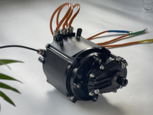 Moteur de karting 30KW 195N.M <span class=keywords><strong>à</strong></span> refroidissement liquide 48V-108V, moteur <span class=keywords><strong>à</strong></span> engrenages pour Dune Buggy, Go-Kart, VTT agricole, UTV, moto tout-terrain, moto de <span class=keywords><strong>course</strong></span>, Go-Kart - Product Image 1