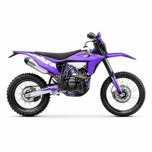 Nueva Motocicleta Todoterreno <span class=keywords><strong>NICOT</strong></span> KR9, 32kW, 449cc, Motor de 4 Tiempos Refrigerado por Aire, 1 Cilindro, Arranque Eléctrico, Frenos de Disco, 125km/h - Product Image 3