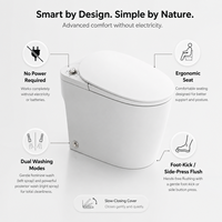 Toilette intelligente non électrique en céramique avec bidet intégré, chasse d'eau manuelle, toilette monobloc