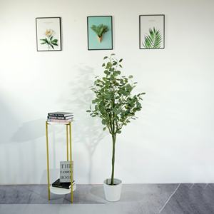 <span class=keywords><strong>Eucalyptus</strong></span> avec <span class=keywords><strong>Pot</strong></span> de Pépinière <span class=keywords><strong>en</strong></span> Plastique Faux Plantes <span class=keywords><strong>en</strong></span> Plastique et Faux Arbre Dollar <span class=keywords><strong>en</strong></span> Argent pour le salon - Product Image 4