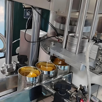 Geavanceerde multifunctionele verwerkingslijn voor perziken, abrikozen en pruimen met PLC-pompmotor voor het maken van sap, puree, jam en ingeblikt fruit.
