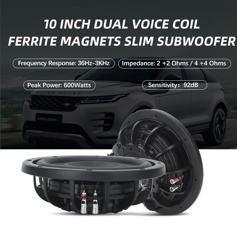 Zeming YS101SL Ultra-Thin Car Audio Subwoofer - 500 Watt Power