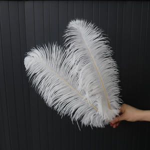 Plumas de avestruz teñidas de 35-40cm para guía de <span class=keywords><strong>camino</strong></span> de boda decoración de iluminación de arte Floral accesorios de escenario grandes coloridos - Product Image 2