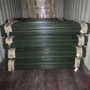 Poste en T de Acero Galvanizado Americano o Poste en T con Espigas Verdes para Cercas Agrícolas y Jardines - Product Image 5