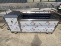 Nieuwe automatische fruit- en groentewasmachine met borstel voor aardappelen, gember, wortelen, zeevruchten etc.