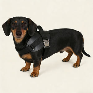 Arnés para Perro Resistente y Duradero OEM, Hebilla de Metal, Liberación Rápida, Collar para Perro, Arnés Acolchado Suave para Mascotas - Product Image 4