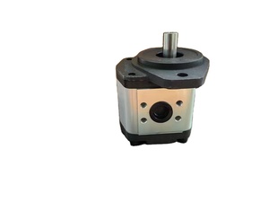 Componente de equipo de ingeniería SNP3NN/026LN07GA 111.25.047.0A bomba de engranajes - Product Image 1