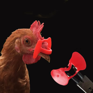 <span class=keywords><strong>Gafas</strong></span> de plástico rojo para pollos, <span class=keywords><strong>gafas</strong></span> antipicoteo para aves de corral, <span class=keywords><strong>gafas</strong></span> de protección para los ojos de pollo - Product Image 6