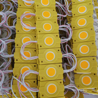 Boîtier d'éclairage étanche pour panneau publicitaire, module LED COB haute luminosité, signalétique extérieure, modèle de module LED, source d'éclairage LED DC12V