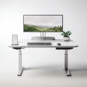 Muebles de oficina, mesa de lujo, escritorio para ordenador, 2 motores, mesa elevadora de 2 secciones, soporte de altura ajustable, escritorio de pie eléctrico