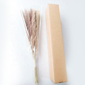 ZS002 Vente en gros d'herbe de la pampa naturelle séchée à longues tiges, style nordique, blanc et marron, <span class=keywords><strong>pour</strong></span> arrangement de <span class=keywords><strong>vase</strong></span> et décoration - Product Image 5