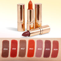 Vente en gros de maquillage, logo personnalisé, gloss à lèvres mat imperméable longue tenue, rose nude brun, label privé, rouge à lèvres végan