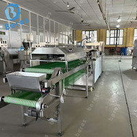 Ligne de production entièrement automatique de pâte à lavash, de tortillas de maïs, avec presse à roti et chapati motorisée