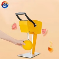 Commerciële RVS 304 Gemotoriseerde Automatische Sinaasappel- & Granaatappelpers 200W Verse Fruchtsapmachine voor Kleine Bedrijven
