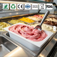 Contenitore per Gelato Personalizzabile, Scatola Rettangolare in PP per Alimenti, Espositore per Congelatore