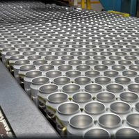 Système de détection et d'inspection de canettes en aluminium vides en ligne avec caméra industrielle et système de convoyage sous vide ECI