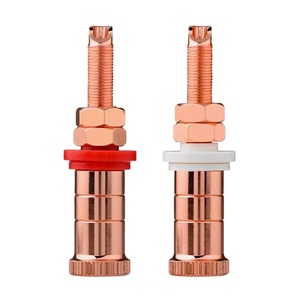 Plaque cuivre rouge OEM <span class=keywords><strong>Prise</strong></span> haut-parleur Adaptateur femelle Borne audio et vidéo Borne de liaison Borne <span class=keywords><strong>HIFI</strong></span> <span class=keywords><strong>Prise</strong></span> - Product Image 1