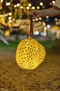Lámpara Escultura de Durián, Iluminación Decorativa para Exteriores, para Parques, Jardines, Paisajes y Festivales - Product Image 1