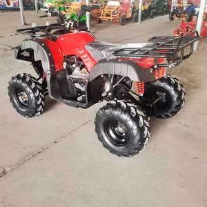 Trung Quốc Nhà Máy Của Nhà Sản Xuất Khí Powered Dune Buggy Bên Bờ Biển Cưỡi Bãi Biển Buggy Để Bán - Product Image 4