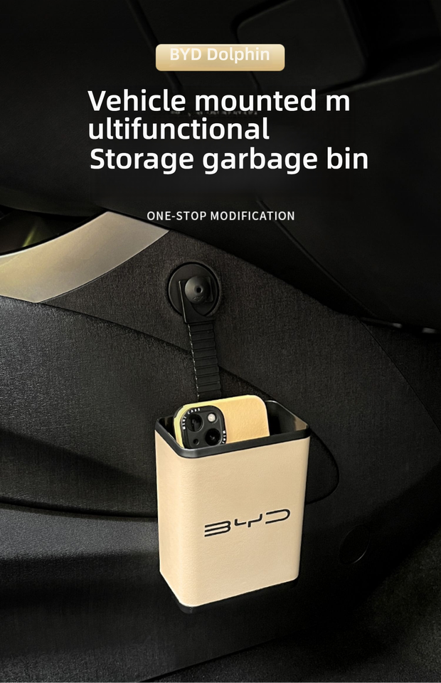 BYD Seagull (Dolphin Mini) - Ultimate Guide: Specs, Accessories Reviews