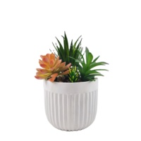 Plantes artificielles succulentes en faux plastique de haute qualité Real Touch Design vert à feuilles persistantes pour la décoration intérieure