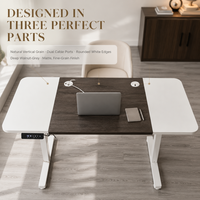 Table élévatrice électrique AOR avec plateau en placage de bois massif, moteur unique, pieds inversés, pieds en T stables, vente en gros d'usine