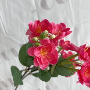 LO-766 Meilleure vente Fleur artificielle de <span class=keywords><strong>jasmin</strong></span> en soie faite à la main de haute qualité pour la décoration de table, de la maison et de mariage - Product Image 3