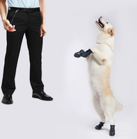 Clicker d'entraînement pour chien réutilisable de haute qualité, ABS, peut former plusieurs comportements, entraîneur de chien portable