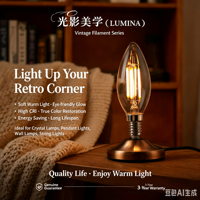 Ampoule G45 à économie d'énergie E26/E27, guirlande lumineuse d'ambiance étanche en PC LED avec télécommande, lampe solaire à intensité variable, best-seller