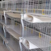 Bande transporteuse en PVC enduit de tissu pour la gestion du fumier, pour cages à poulets, longueur et largeur personnalisées, pour l'élevage avicole et le nettoyage du fumier