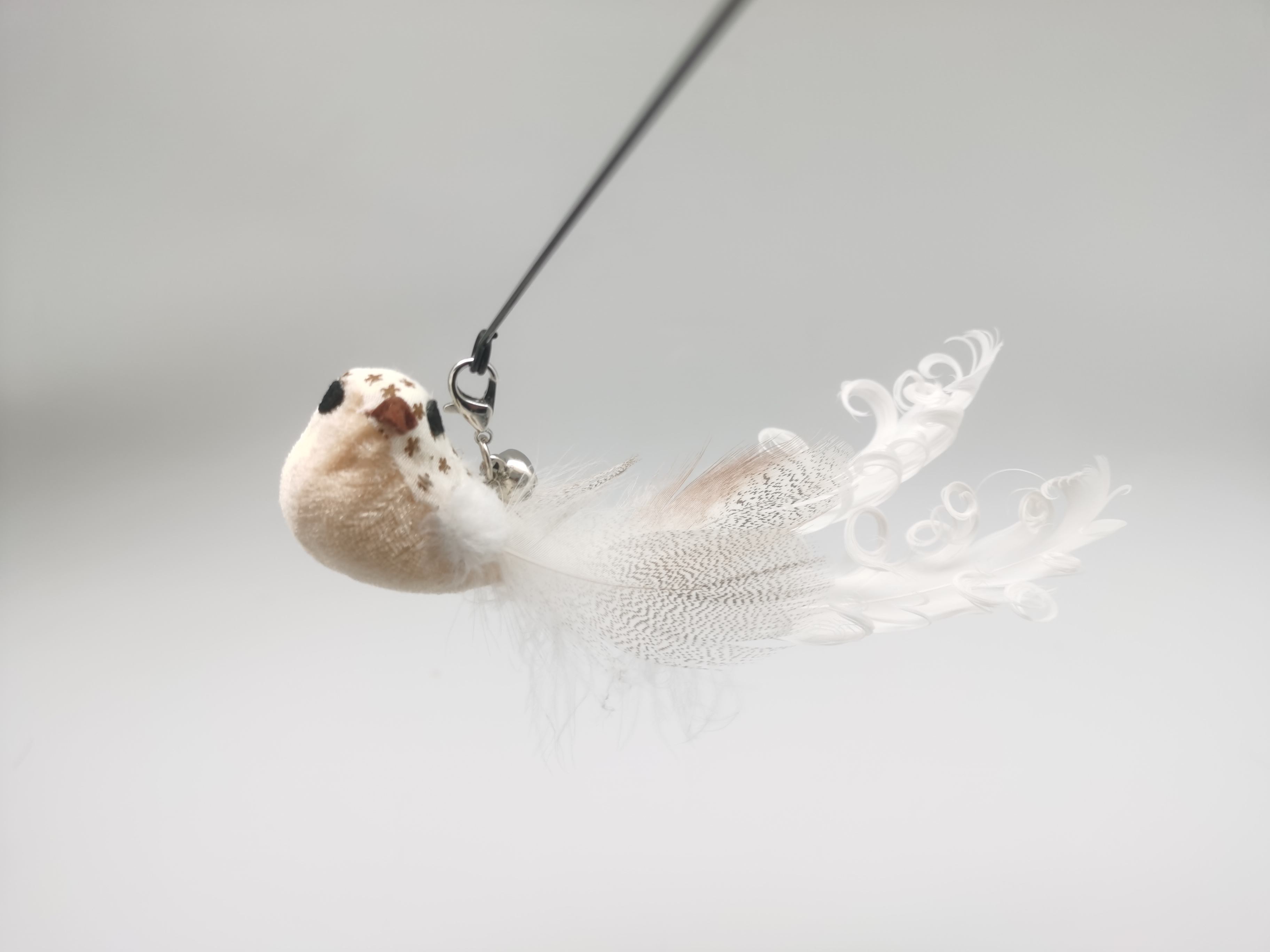 นกชบา-สีขาว