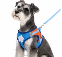 Harnais de poitrine pour chien au design tendance, en maille respirante, avec laisse, pour chats, chiens, Bichon Frisé, Schnauzer