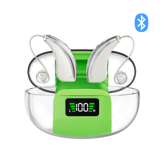 Rechargeable BT 5.3 Digital Hearing Aid with 30H Battery, App Control, Noise Reduction & LED Charging Case