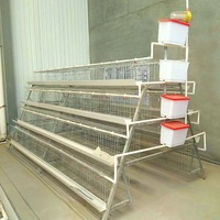 Cage à poules pondeuses de type A, cage d'élevage en structure A pour ferme avicole
