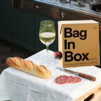 Emballage de bière en Bag-in-Box de qualité alimentaire, haute performance, étanche, écologique, durable, avec robinet de distribution à valve, tailles et couleurs personnalisables