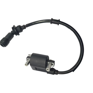 Bobina de Encendido Jilong de 2 Cilindros para Motocicleta Little Tyrannosaurus BJ125-3B3F, Pieza 2105047-5000004 - Product Image 1