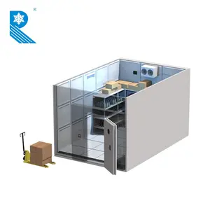 Ruixue Unité de chambre froide extérieure personnalisée Système de refroidissement Stockage à froid pour viande et poulet