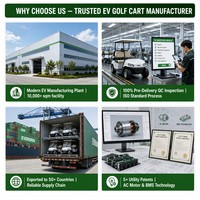 Voiturette de golf électrique Tarion 4 places avec moteur AC, frein hydraulique double, autonomie 80-100 km, personnalisable OEM, 2+2 places, 35 km/h