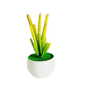 Plante succulente artificielle en pot, 6 longues et 6 courtes, cactus bonsai en PVC souple, ornement de bureau - Product Image 5