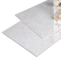 30x60 Porcelaine Interio Salle de bain Cuisine Mur Sol toilette Carreaux muraux en céramique