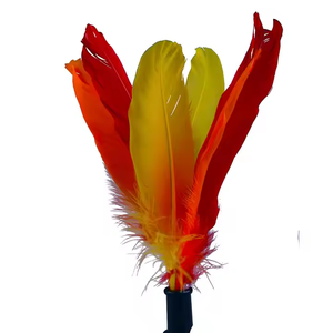 Offre Spéciale jouets de plage personnalisés <span class=keywords><strong>Indiaca</strong></span> multicolore néoprène Peteca main volant plume brésilien Peteca volant - Product Image 5