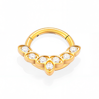 YW gros G23 titane Piercing articulé Segment anneau Septum anneau oreille Cartilage hélice Piercing unisexe bijoux