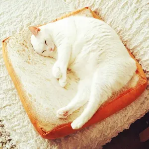 bed cats bread Suppliers-warm bed sofa hang mat lounger pet beds & accessories simons cat cushion pillow pet plush pet cat Toast bread mat for cat