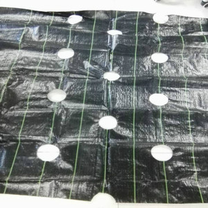 Hot Sale Woven Ground Cover Fabric PP Woven Fabric or <b>Cloth</b> for Agriculture or Greenhouse - Product Image 2
